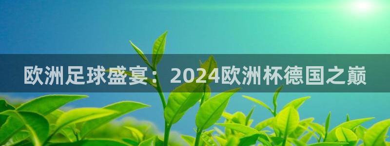 欧洲杯买球怎么买|欧洲足球盛宴：2024欧洲杯德国之巅