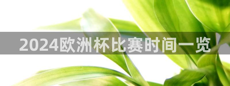 欧洲杯kaiyun|2024欧洲杯比赛时间一览