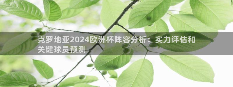 2024正规欧洲杯平台