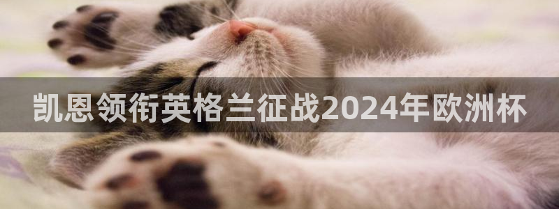 2024欧洲杯竞猜网址|凯恩领衔英格兰征战2024年欧洲杯