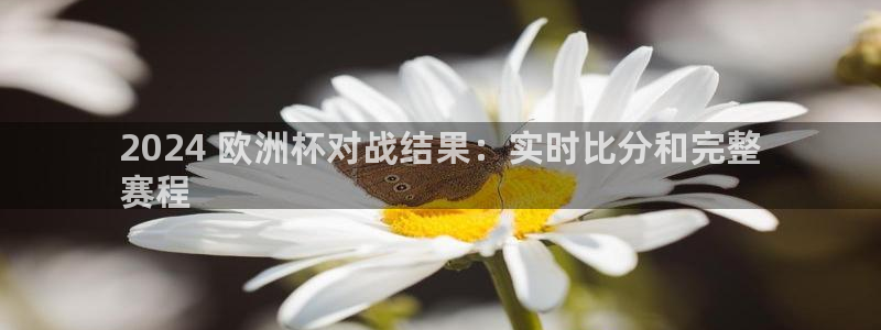 2024欧洲杯买球推荐|2024 欧洲杯对战结果：实时比分和完整
赛程